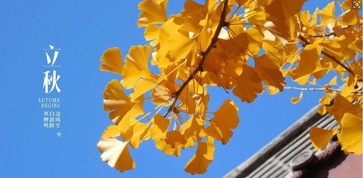 QQ图片20190808150456.jpg QQ图片20190808150456.jpg